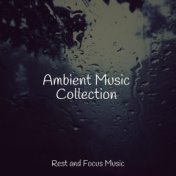 Ambient Music Collection