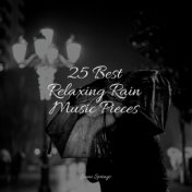 25 Best Relaxing Rain Music Pieces