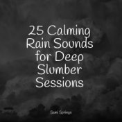 25 Calming Rain Sounds for Deep Slumber Sessions