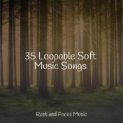 35 Loopable Soft Music Songs