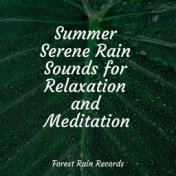 Summer Serene Rain Sounds for Relaxation and Meditation
