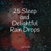 25 Sleep and Delightful Rain Drops