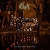 25 Calming Rain Shower Sounds