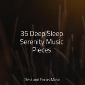 35 Deep Sleep Serenity Music Pieces