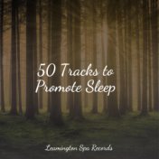 50 Tracks to Promote Sleep