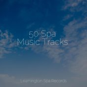 50 Spa Music Tracks