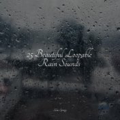25 Beautiful Loopable Rain Sounds