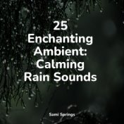 25 Enchanting Ambient: Calming Rain Sounds