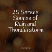 25 Serene Sounds of Rain and Thunderstorm