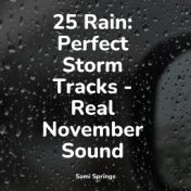 25 Rain: Perfect Storm Tracks - Real November Sound