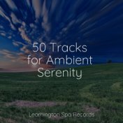 50 Tracks for Ambient Serenity