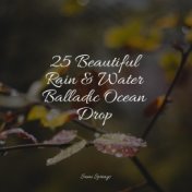25 Beautiful Rain & Water Balladic Ocean Drop
