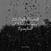 25 Soft Sounds of Nature and Rainfall