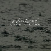 25 Rain Sounds of Nature - Meditation