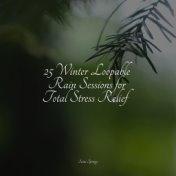 25 Winter Loopable Rain Sessions for Total Stress Relief
