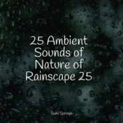 25 Ambient Sounds of Nature of Rainscape 25