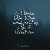 25 Calming Rain Drop Sounds for Deep, Spa & Meditation