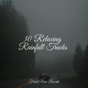 30 Relaxing Rainfall Tracks