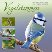 Vogelstimmen - Bird Songs