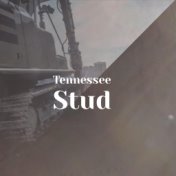 Tennessee Stud