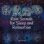 25 Special Rain Sounds for Sleep and Relaxation