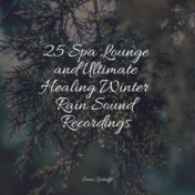 25 Spa Lounge and Ultimate Healing Winter Rain Sound Recordings