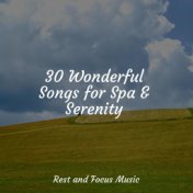 30 Wonderful Songs for Spa & Serenity