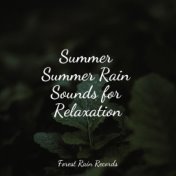 Summer Summer Rain Sounds for Relaxation