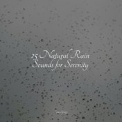 25 Natural Rain Sounds for Serenity