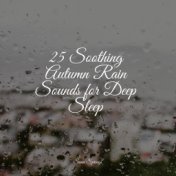 25 Soothing Autumn Rain Sounds for Deep Sleep