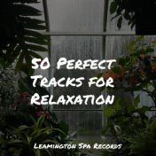 50 Perfect Tracks for Relaxation