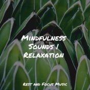 Mindfulness Sounds | Relaxation