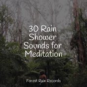 30 Rain Shower Sounds for Meditation