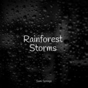 Rainforest Storms