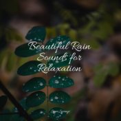 Beautiful Rain Sounds for Relaxation