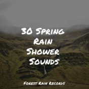 30 Spring Rain Shower Sounds