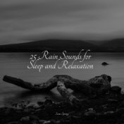25 Rain Sounds for Sleep and Relaxation