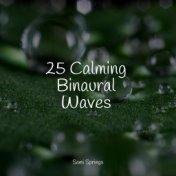 25 Calming Binaural Waves