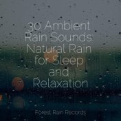 30 Ambient Rain Sounds: Natural Rain for Sleep and Relaxation