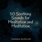 50 Soothing Sounds for Meditation and Meditation
