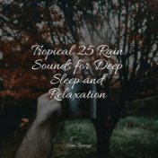 Tropical 25 Rain Sounds for Deep Sleep and Relaxation