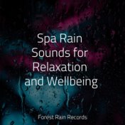 Spa Rain Sounds for Relaxation and Wellbeing