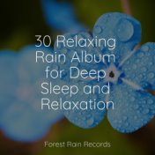 30 Relaxing Rain Album for Deep Sleep and Relaxation