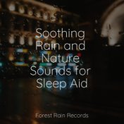 Soothing Rain and Nature Sounds for Sleep Aid