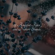 25 Ambient Rain and Nature Sounds