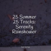 25 Summer 25 Tracks: Serenity Rainshower