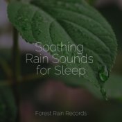 Soothing Rain Sounds for Sleep