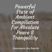 Powerful State of Ambient Compilation for Absolute Peace & Tranquility
