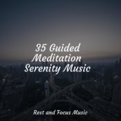 35 Guided Meditation Serenity Music