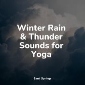 Winter Rain & Thunder Sounds for Yoga